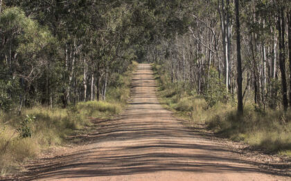 Follow Jesus and find life